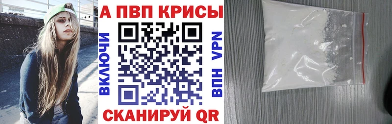 закладка  Сольвычегодск  OMG маркетплейс  Альфа ПВП СК 