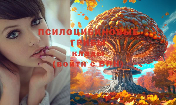 MDMA Алексеевка