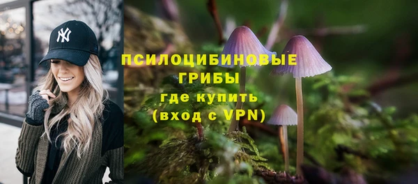 эйфоретик Алексин