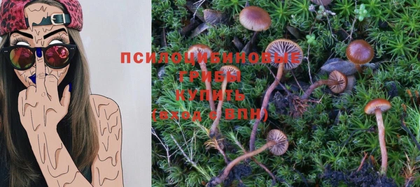 эйфоретик Алексин