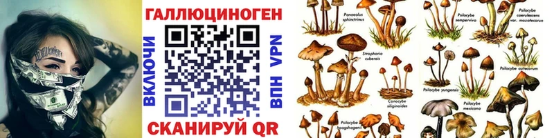 Псилоцибиновые грибы прущие грибы  цена   Сольвычегодск 