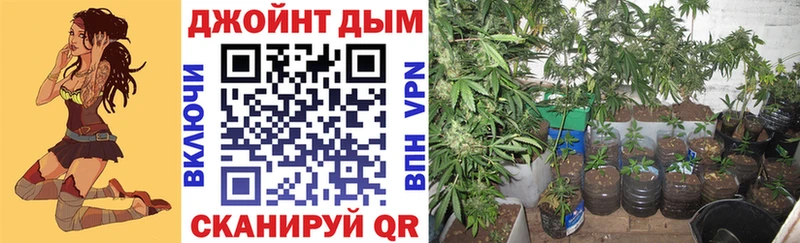 Марихуана MAZAR  mega как войти  Сольвычегодск 